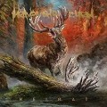 Buy Heaven Shall Burn - Heimat Mp3 Download