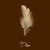 Buy Plüm - Shadow (CDS) Mp3 Download