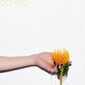 Buy Oohyo - 꿀차 (CDS) Mp3 Download