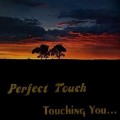 Buy Perfect Touch - Touching You (Vinyl) Mp3 Download
