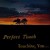 Buy Perfect Touch - Touching You (Vinyl) Mp3 Download