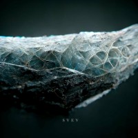 Purchase Pjusk & Arovane - Svev