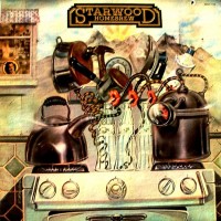 Purchase Starwood - Homebrew (Vinyl)