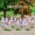 Buy Loona - Summer Special (Flip That) (EP) Mp3 Download