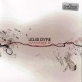 Buy Liquid Divine - Sojourner (EP) Mp3 Download
