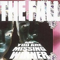 Purchase The Fall - Are You Are Missing Winner (Expanded Edition) CD4