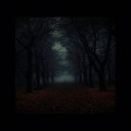 Buy Stormloop - Autumn II Mp3 Download