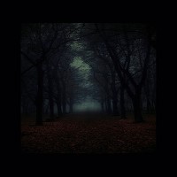 Purchase Stormloop - Autumn II