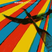 Purchase Web Web - Plexus Plexus