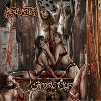 Purchase Neoplasia - Stirring Clots