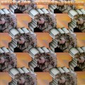 Buy Brian Cadd - Yesterdaydreams (Vinyl) Mp3 Download