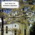 Buy Bluegrass Meditations - Where Would I Be (Vinyl) Mp3 Download