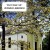 Buy Bluegrass Meditations - Where Would I Be (Vinyl) Mp3 Download