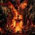 Buy Fatal Embrace - Seventh Sadistic Serenade Mp3 Download