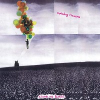 Purchase Exploding Flowers - Stumbling Blocks