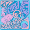 Buy The Exploding Flowers - Strangers Mp3 Download
