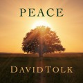 Buy David Tolk - Peace Mp3 Download