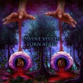 Buy Nylist - Divine Vision Torn Apart Mp3 Download