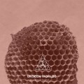Buy Steve Brand - Unseen Worlds Mp3 Download