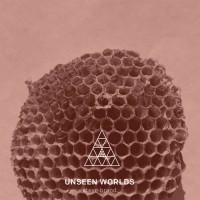 Purchase Steve Brand - Unseen Worlds