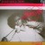 Buy Solid Solution - Loving You (Vinyl) Mp3 Download