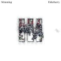 Buy Stimming - Elderberry Mp3 Download