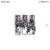 Buy Stimming - Elderberry Mp3 Download
