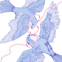 Purchase Bibi - Bluebird (CDS)