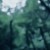 Buy Chihei Hatakeyama - The Ancient Forest II Mp3 Download