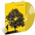 Buy Jack Johnson - In Between Dreams Canary Yellow Mp3 Download