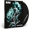 Buy Bush - I Beat Loneliness Mp3 Download