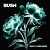 Buy Bush - I Beat Loneliness Mp3 Download