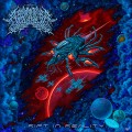 Buy Labyrinthus Stellarum - Rift In Reality Mp3 Download