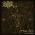 Buy Behold The Slitted Carcass - Divine Hypothetical Self-Contained Plane Of Existence Mp3 Download