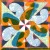 Buy Sacred Paws - Jump Into Life Mp3 Download