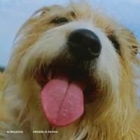 Purchase Songdog - Mirabilia Mundi