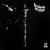Buy Tim Davis - Pipe Dream (Vinyl) Mp3 Download