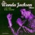 Buy Wanda Jackson - The Wanda Jackson Show Live And Still Kickin' Mp3 Download