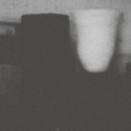 Buy Merzbow - The Prosperity Of Vice, The Misfortune Of Virtue Mp3 Download