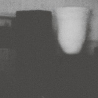 Purchase Merzbow - The Prosperity Of Vice, The Misfortune Of Virtue