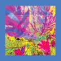 Buy The Reds, Pinks & Purples - The Past Is A Garden I Never Fed Mp3 Download
