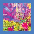 Buy The Reds, Pinks & Purples - The Past is a Garden I Never Fed Mp3 Download