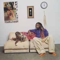 Purchase Amine - 13 Months Of Sunshine