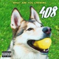 Buy 408 - What Are You Chewing (EP) Mp3 Download