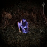 Purchase Maud The Moth - The Inner Wastelands