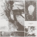 Buy Park Jiha - All Living Things Mp3 Download