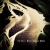 Buy Erik Wollo - Where The River Widens Mp3 Download