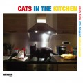 Buy Alberto Braida - Cats In The Kitchen Mp3 Download