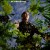 Buy Vendredi Sur Mer - Métamorphose Mp3 Download