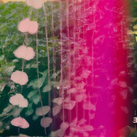 Purchase Snowpoet - Heartstrings